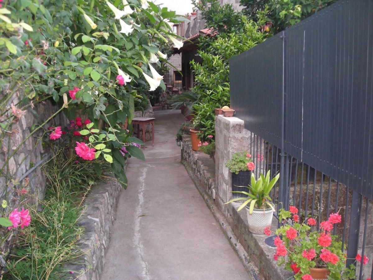 B&B L'Arcobaleno Sorrento Eksteriør bilde
