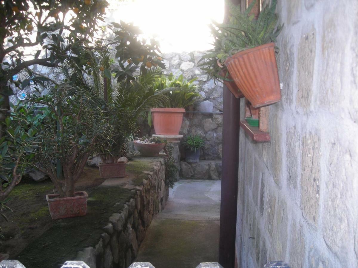 B&B L'Arcobaleno Sorrento Eksteriør bilde