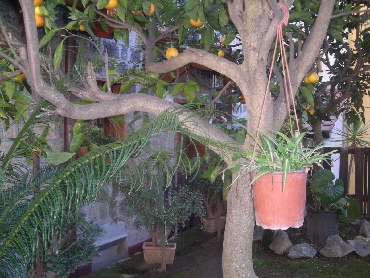 B&B L'Arcobaleno Sorrento Eksteriør bilde
