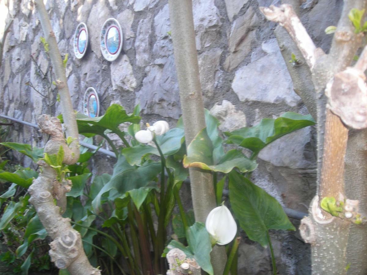 B&B L'Arcobaleno Sorrento Eksteriør bilde
