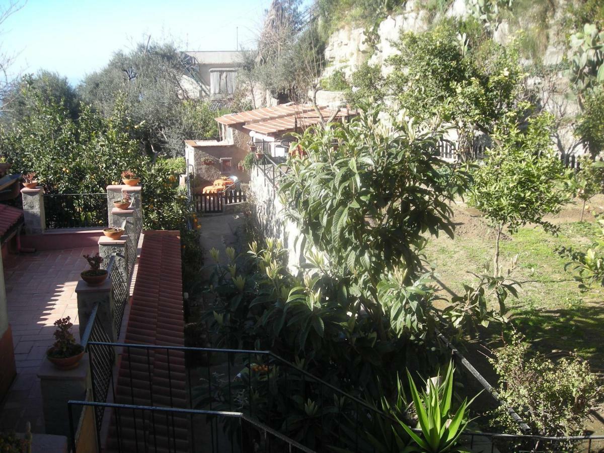 B&B L'Arcobaleno Sorrento Eksteriør bilde
