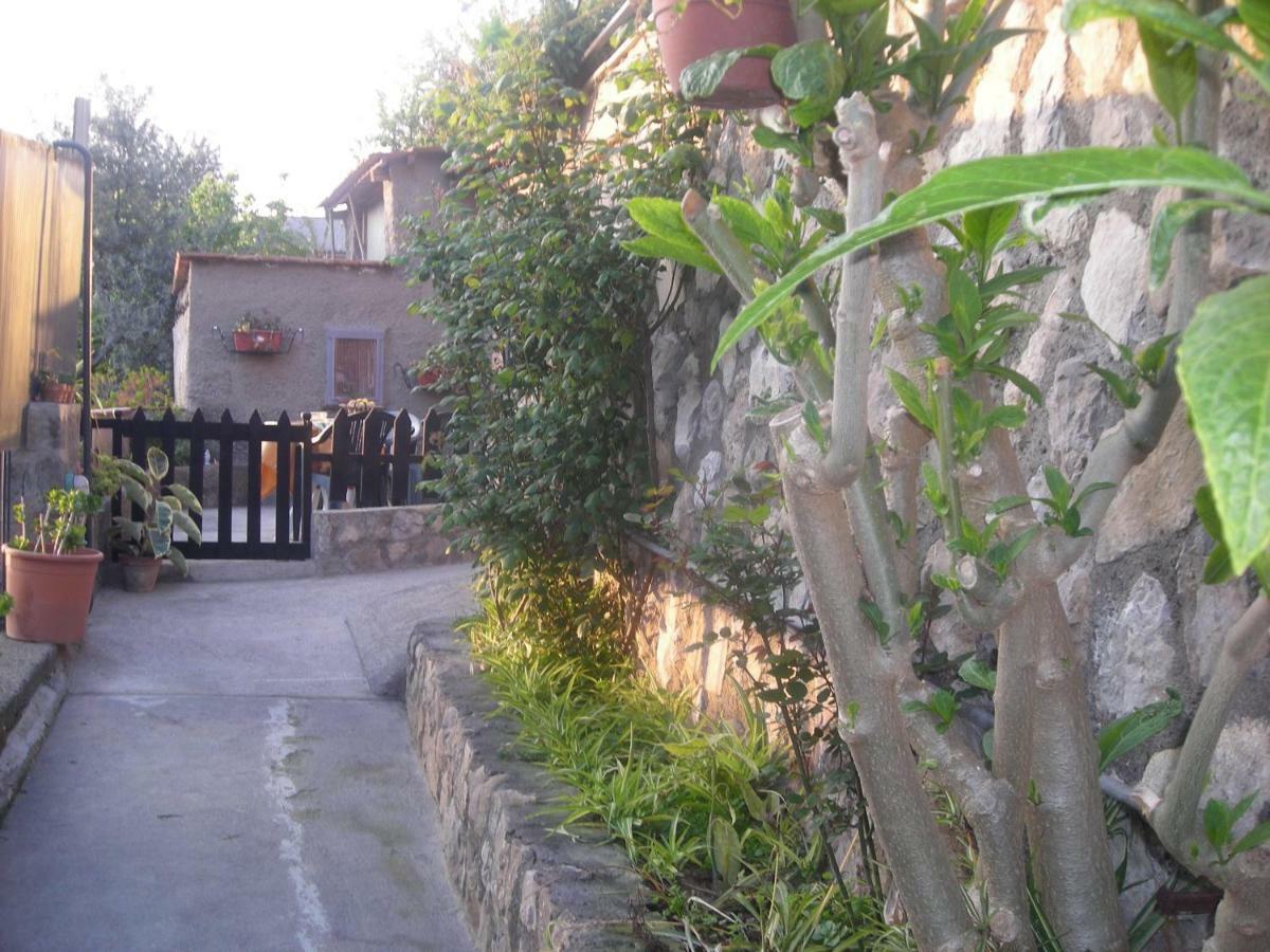B&B L'Arcobaleno Sorrento Eksteriør bilde
