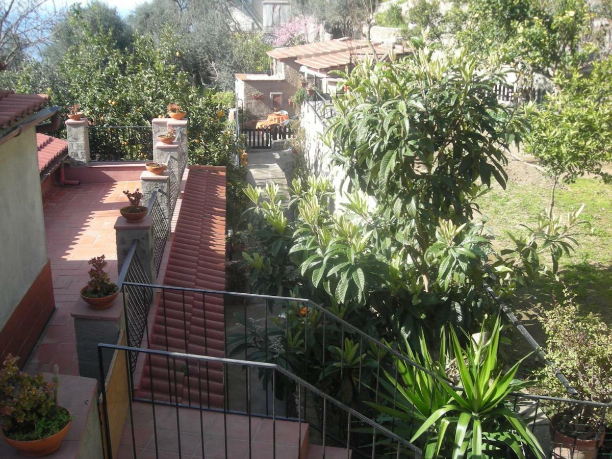 B&B L'Arcobaleno Sorrento Eksteriør bilde