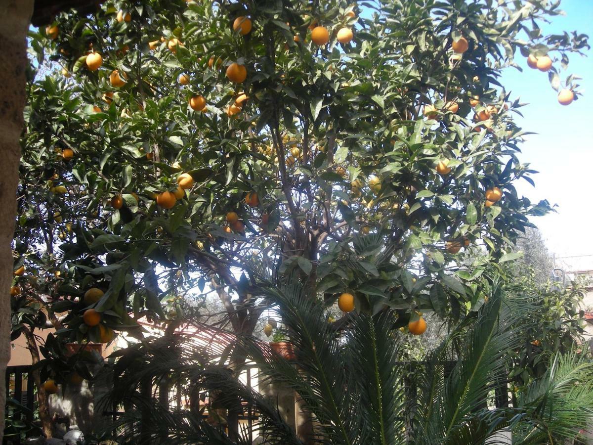 B&B L'Arcobaleno Sorrento Eksteriør bilde